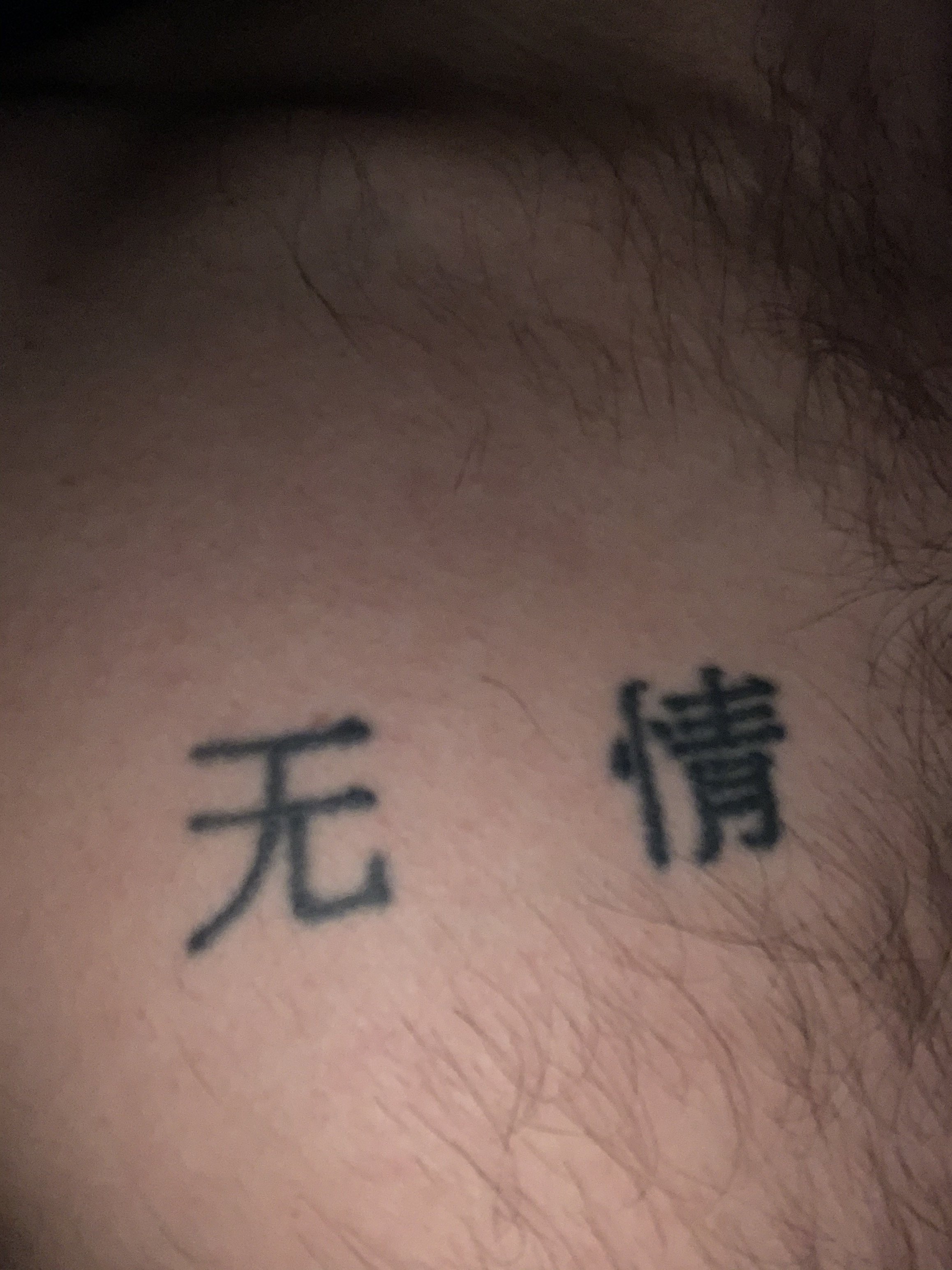 Does my tattoo mean relentless  Tattoos Names and Quick Translations   Chineseforumscom