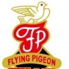 Flying Pigeon